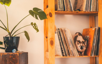 shelf