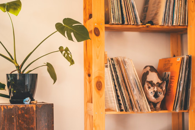 The Future of Home Storage: Smarter Ways to Use Space